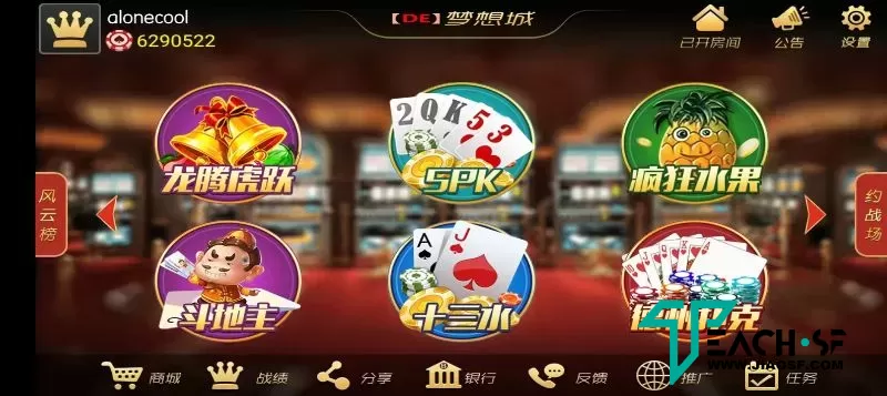 图片[3]-梦想娱乐城十四个子游戏-解除授权-手工端-含教程-带机器人陪玩-晴空资源网